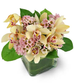 Delicate Delight. An arrangement by Avenue Flowers and Gifts. Delicate Delight. An arrangement by Avenue Flowers and Gifts.