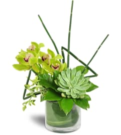Stately Succulent Bouquet™. An arrangement by Avenue Flowers and Gifts.