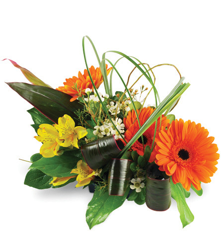 Triple Delight. An arrangement by Avenue Flowers and Gifts. Features three orange Gerbera daisies, alstroemeria, waxflower, and luscious greens..