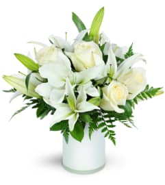 Sweet Notions™. An arrangement by Avenue Flowers and Gifts. Sweet Notions™. An arrangement by Avenue Flowers and Gifts.