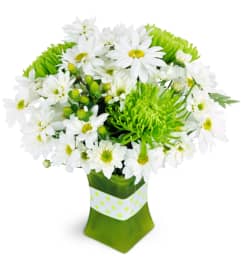 Sublime Lime™. An arrangement by Avenue Flowers and Gifts. Sublime Lime™. An arrangement by Avenue Flowers and Gifts.