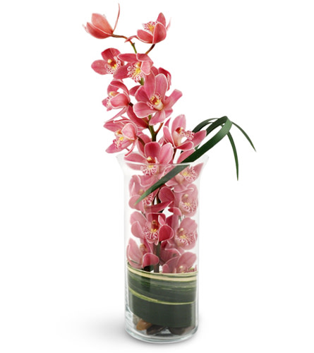 Peaceful Pink Orchids. An arrangement by Avenue Flowers and Gifts. A single pink miniature Cymbidium orchid stem is delicately wrapped in...