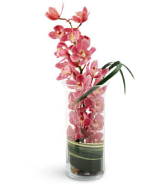 Peaceful Pink Orchids. An arrangement by Avenue Flowers and Gifts. Peaceful Pink Orchids. An arrangement by Avenue Flowers and Gifts.