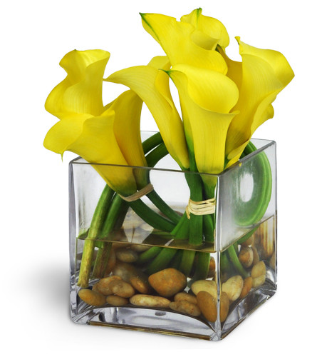 Modern Exuberance™. An arrangement by Avenue Flowers and Gifts. Delicate yellow calla lilies are cheerfully arranged with river rocks in a cube vase..