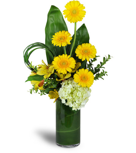 Higher and Higher Bouquet™. An arrangement by Avenue Flowers and Gifts. Mini Gerbera daisies are artistically arranged with hydrangea, yellow...