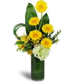 Higher and Higher Bouquet™. An arrangement by Avenue Flowers and Gifts. Higher and Higher Bouquet™. An arrangement by Avenue Flowers and Gifts.