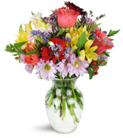 Brilliant Surprise™. An arrangement by Avenue Flowers and Gifts. Brilliant Surprise™. An arrangement by Avenue Flowers and Gifts.