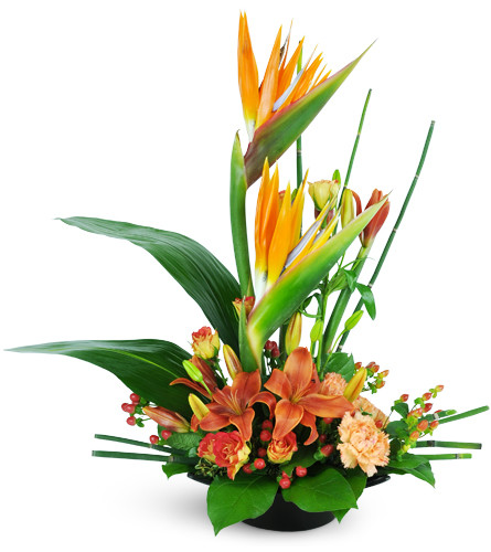 High-Rise Prize™. An arrangement by Avenue Flowers and Gifts. Stunning birds of paradise stand out among lilies, spray roses, and more..