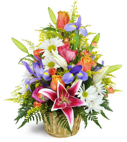 Stargazer Blessings Basket™ - Deluxe. An arrangement by Avenue Flowers and Gifts. Stargazer lilies, irises, and more are expertly arranged in a...