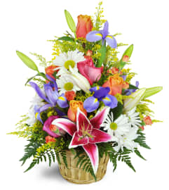 Stargazer Blessings Basket™. An arrangement by Avenue Flowers and Gifts. Stargazer Blessings Basket™. An arrangement by Avenue Flowers and Gifts.