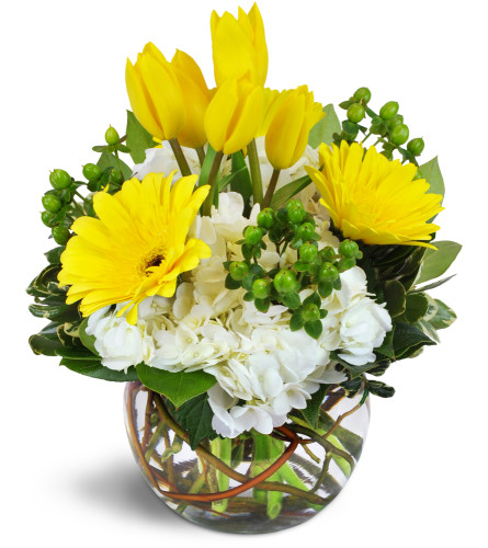 Summertime Fun™. An arrangement by Avenue Flowers and Gifts. Bright yellow tulips and Gerbera daisies are arranged with hydrangea, hypericum...