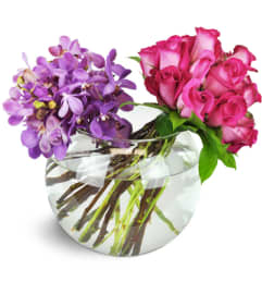 Captivating Duet™. An arrangement by Avenue Flowers and Gifts. Captivating Duet™. An arrangement by Avenue Flowers and Gifts.