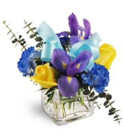 Boy, Oh Boy!. An arrangement by Avenue Flowers and Gifts. Boy, Oh Boy!. An arrangement by Avenue Flowers and Gifts.