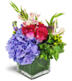 Sweet Delight™. An arrangement by Avenue Flowers and Gifts. Sweet Delight™. An arrangement by Avenue Flowers and Gifts.