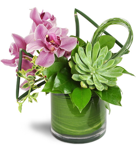 Pink Splendor Vase™. An arrangement by Avenue Flowers and Gifts. Pink Cymbidium orchids are arranged amongst a large succulent plant..