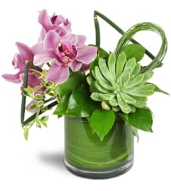 Pink Splendor Vase™. An arrangement by Avenue Flowers and Gifts. Pink Splendor Vase™. An arrangement by Avenue Flowers and Gifts.