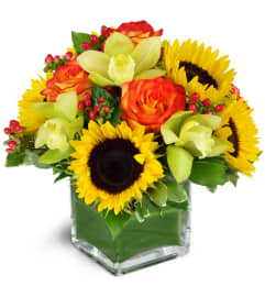 Sunrise Harvest. An arrangement by Avenue Flowers and Gifts. Sunrise Harvest. An arrangement by Avenue Flowers and Gifts.