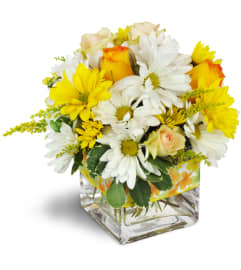 Sunshine Medley™. An arrangement by Avenue Flowers and Gifts. Sunshine Medley™. An arrangement by Avenue Flowers and Gifts.