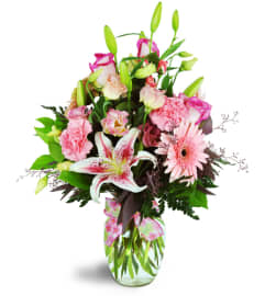 Daisy Day Blush™. An arrangement by Avenue Flowers and Gifts. Daisy Day Blush™. An arrangement by Avenue Flowers and Gifts.