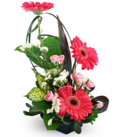 To The Top!™. An arrangement by Avenue Flowers and Gifts. To The Top!™. An arrangement by Avenue Flowers and Gifts.