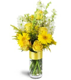 Celebrate Your Day!™. An arrangement by Avenue Flowers and Gifts. Celebrate Your Day!™. An arrangement by Avenue Flowers and Gifts.