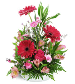 Love’s Garden™. An arrangement by Avenue Flowers and Gifts. Love’s Garden™. An arrangement by Avenue Flowers and Gifts.