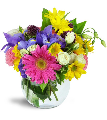 Color Me Happy™. An arrangement by Avenue Flowers and Gifts. One Gerbera daisy is accented with spray roses, daisies, irises, carnations, and more...