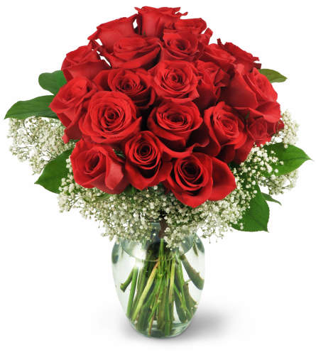 Two Dozen Red Roses. An arrangement by Avenue Flowers and Gifts. Two dozen red roses are accented with baby's breath and salal in a classic rose...