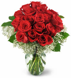 Two Dozen Red Roses. An arrangement by Avenue Flowers and Gifts.