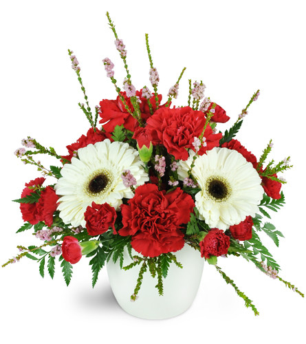 Cranberries and Cream™. An arrangement by Avenue Flowers and Gifts. White Gerbera daisies are delightfully arranged with red carnations and mini...