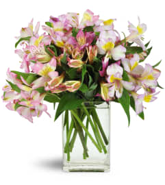 Lively Lilies™. An arrangement by Avenue Flowers and Gifts.