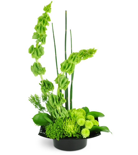 Emerald Zen. An arrangement by Avenue Flowers and Gifts. Treat them to a unique arrangement of Fuji mums, bells of Ireland, kermit poms, and more..