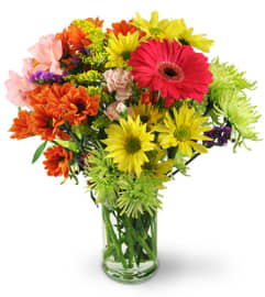 Flower Festival. An arrangement by Avenue Flowers and Gifts. Flower Festival. An arrangement by Avenue Flowers and Gifts.