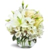 Halcyon Heart™ - Deluxe. An arrangement by Avenue Flowers and Gifts. A beautiful all-white arrangement including lilies, roses, lisianthus, and more..
