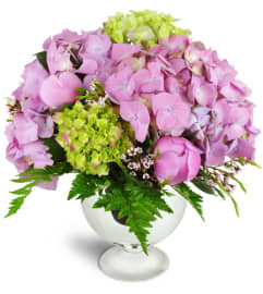Classic Grace™. An arrangement by Avenue Flowers and Gifts. Classic Grace™. An arrangement by Avenue Flowers and Gifts.