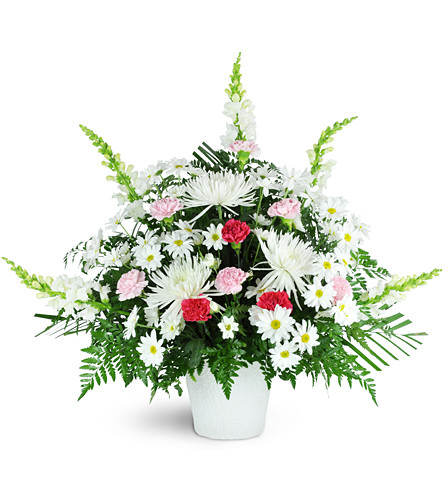 Fond Remembrance Tribute. An arrangement by Avenue Flowers and Gifts. Daisies, Fuji mums, carnations, and snapdragons are gracefully arranged in a...