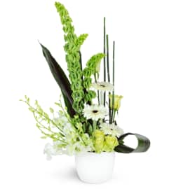 Cool Breeze. An arrangement by Avenue Flowers and Gifts.