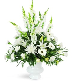 Peaceful White Tribute. An arrangement by Avenue Flowers and Gifts.