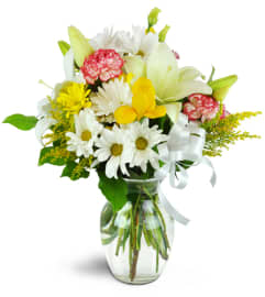 Pure Gladness™. An arrangement by Avenue Flowers and Gifts. Pure Gladness™. An arrangement by Avenue Flowers and Gifts.