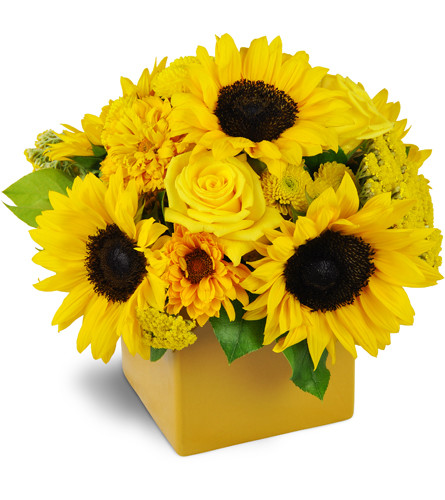 Showers of Sunbeams™. An arrangement by Avenue Flowers and Gifts. Sweet sunflowers, cheerful daisies, sunny yellow roses, and fresh green kermit...