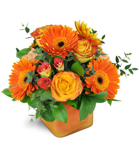Tangerine Dream™. An arrangement by Avenue Flowers and Gifts. Wow them with Gerbera daisies, roses, spray roses, and more arranged in a glass vase..