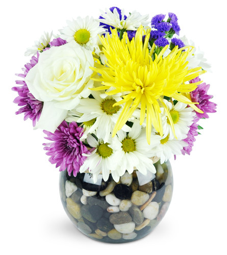 Sunny Day Flair. An arrangement by Avenue Flowers and Gifts. A gorgeous cream rose, a vivid yellow fuji mum, purple and white daisies, and...