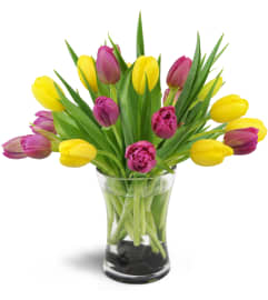 Springtime Duet™. An arrangement by Avenue Flowers and Gifts.