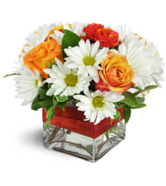 Vivid Glow™. An arrangement by Avenue Flowers and Gifts.