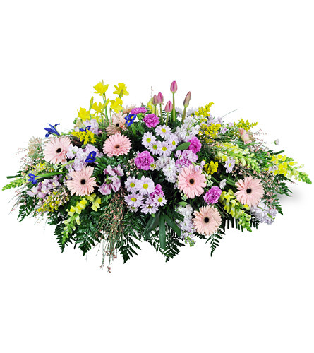 Garden Path Casket Spray. An arrangement by Avenue Flowers and Gifts. Gerbera daisies, tulips, daffodils, carnations, snapdragons, iris, and more...
