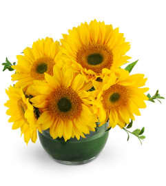 Let the Sun Shine. An arrangement by Avenue Flowers and Gifts. Let the Sun Shine. An arrangement by Avenue Flowers and Gifts.