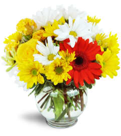 Bright Delight™. An arrangement by Avenue Flowers and Gifts. Bright Delight™. An arrangement by Avenue Flowers and Gifts.