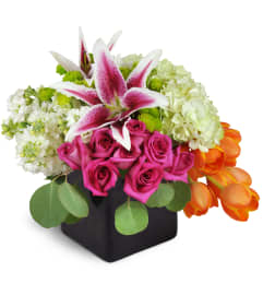 Vibrant Delight™. An arrangement by Avenue Flowers and Gifts. Vibrant Delight™. An arrangement by Avenue Flowers and Gifts.