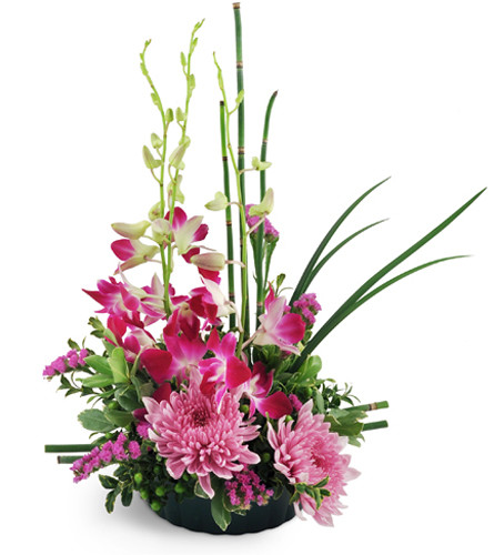 Birthday Wish. An arrangement by Avenue Flowers and Gifts. Dendrobium orchids, oversized chrysanthemums, and statice are arranged with an...