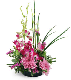 Birthday Wish. An arrangement by Avenue Flowers and Gifts. Birthday Wish. An arrangement by Avenue Flowers and Gifts.